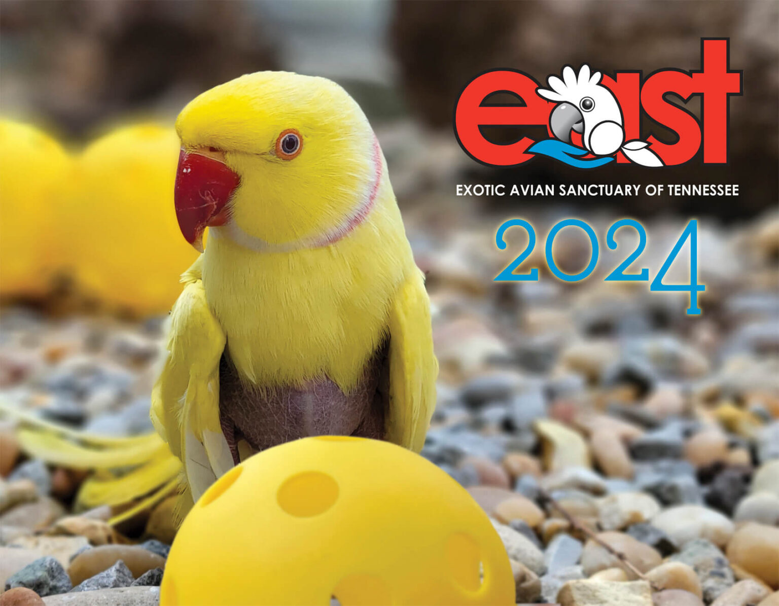 2024 East Calendar Exotic Avian Sanctuary of Tennessee