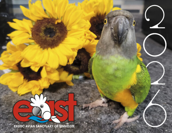 2026 East Calendar