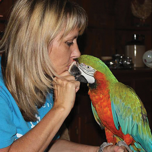 Adopt Exotic Avian Sanctuary of Tennessee