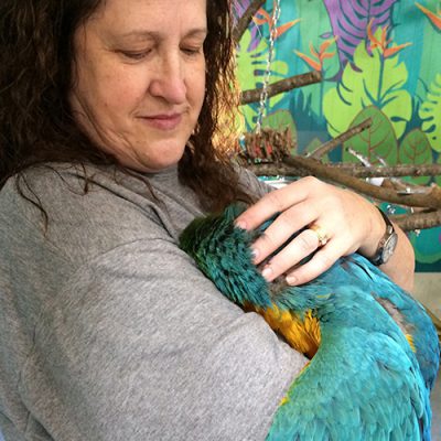 Fargo (TV series) visual data 4