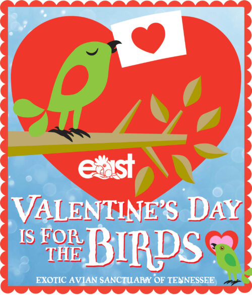 VALENTINE’S DAY IS FOR THE BIRDS! 2025 Online Auction FUNdraiser